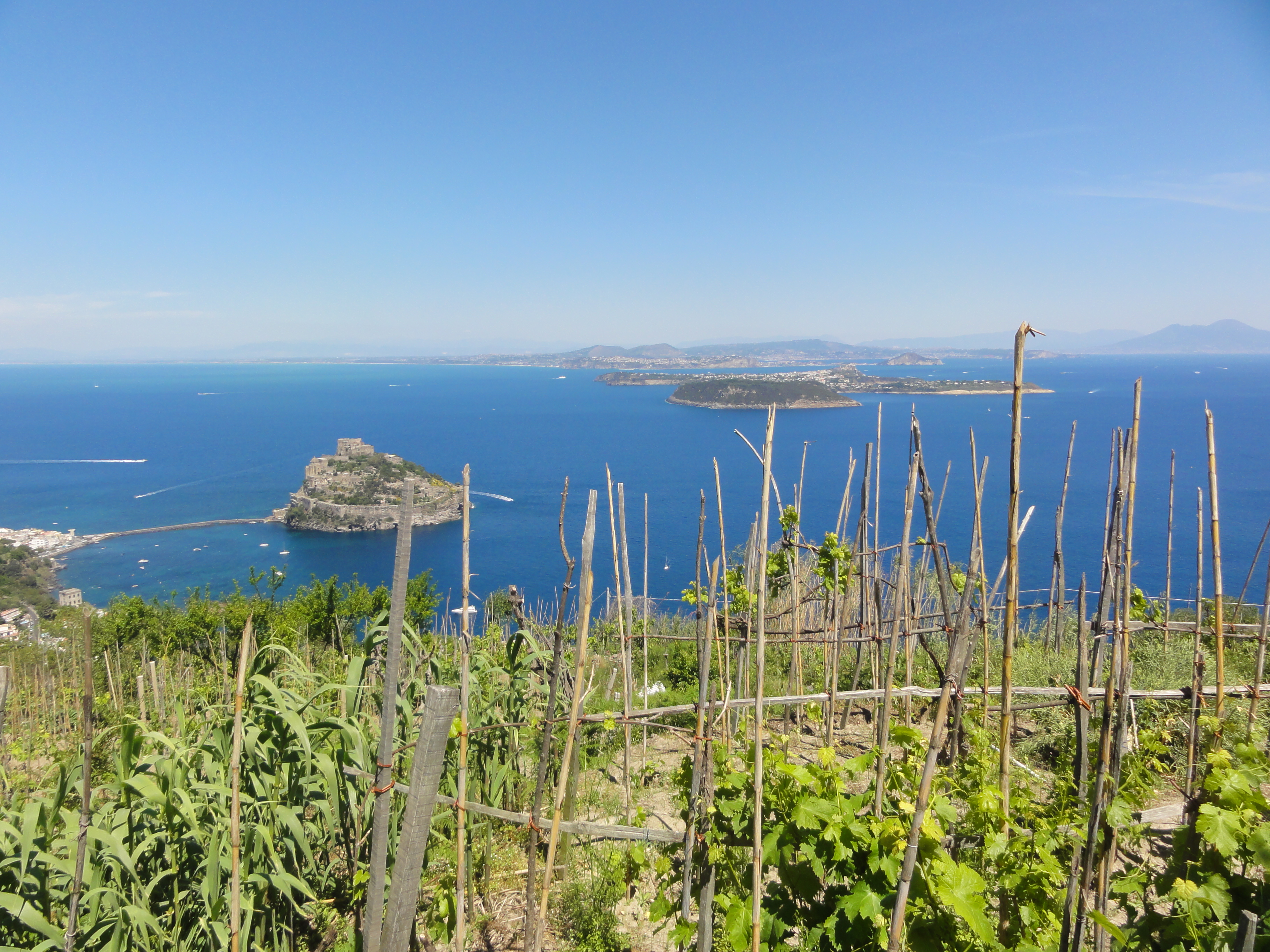 Wandern auf Ischia. Wein Wanderwoche